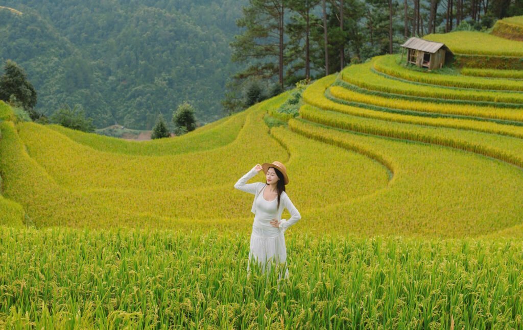 Cách Chụp Ảnh Ruộng Bậc Thang: Pose Phù Hợp Với Cảnh Lớn